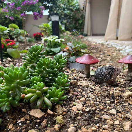 Dioklecian Dream アパート *